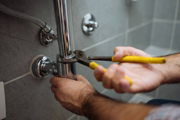 Best Clogged Drain Plumber  in Jackson, WI